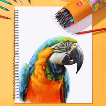 Crayon de couleur Deli-7073-12 12/18 EFFACABLE