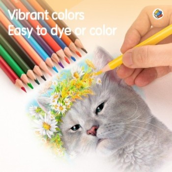 Deli-EC00300 Colored Pencil